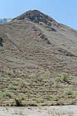 Colca Canyon 